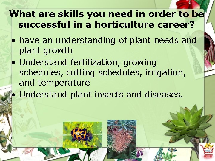 What are skills you need in order to be successful in a horticulture career?