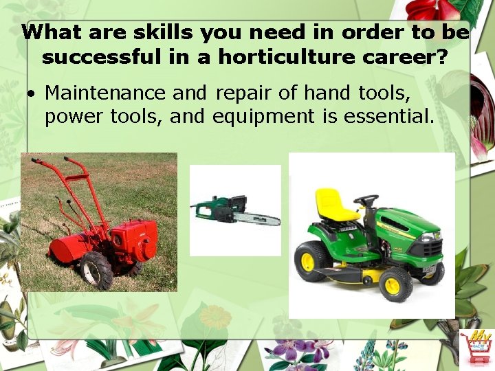 What are skills you need in order to be successful in a horticulture career?