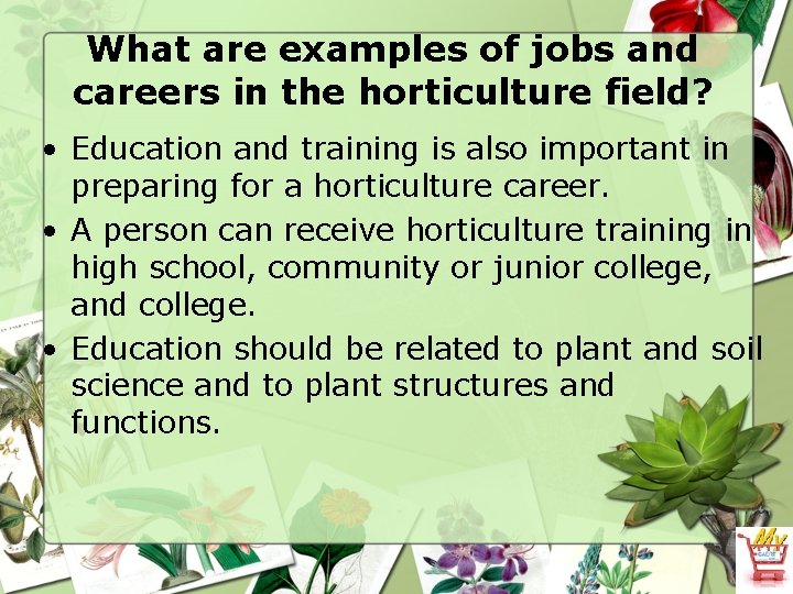 What are examples of jobs and careers in the horticulture field? • Education and