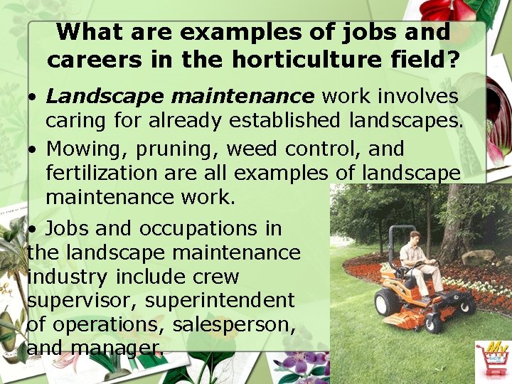 What are examples of jobs and careers in the horticulture field? • Landscape maintenance