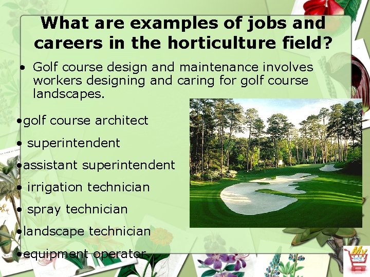 What are examples of jobs and careers in the horticulture field? • Golf course