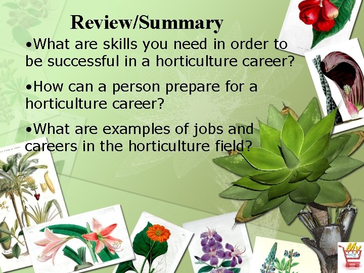 Review/Summary • What are skills you need in order to be successful in a