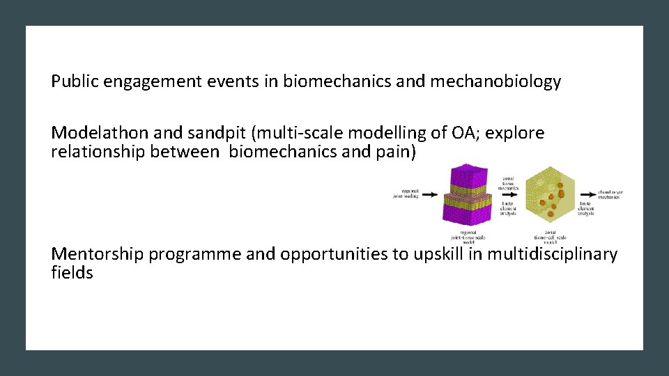 Public engagement events in biomechanics and mechanobiology Modelathon and sandpit (multi-scale modelling of OA;