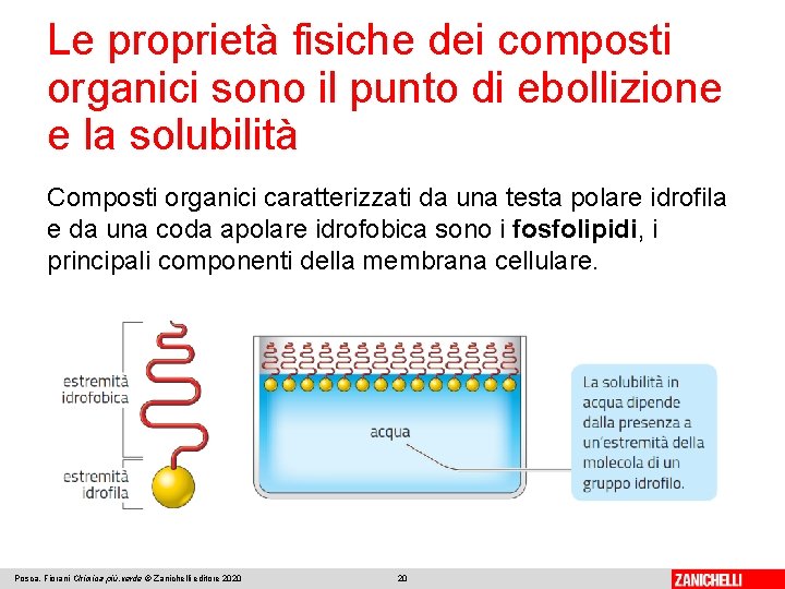Le proprietà fisiche dei composti organici sono il punto di ebollizione e la solubilità Le proprietà fisiche dei composti organici sono il punto di ebollizione e la solubilità