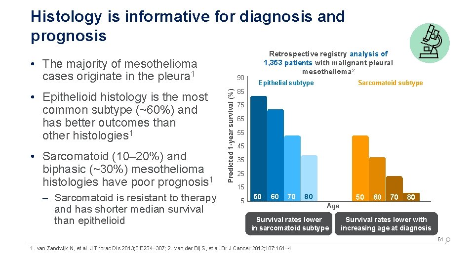 malignant mesothelioma in a cat