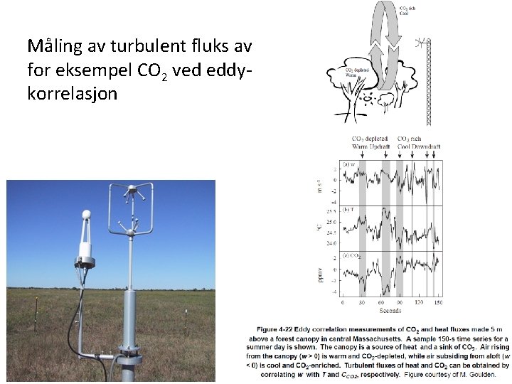 Måling av turbulent fluks av for eksempel CO 2 ved eddykorrelasjon 