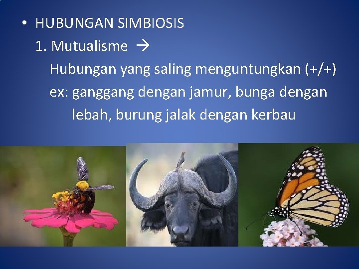 EKOSISTEM SMA AVICENNA JAGAKARSA EKOSISTEM Ekologi 1866 Ernst