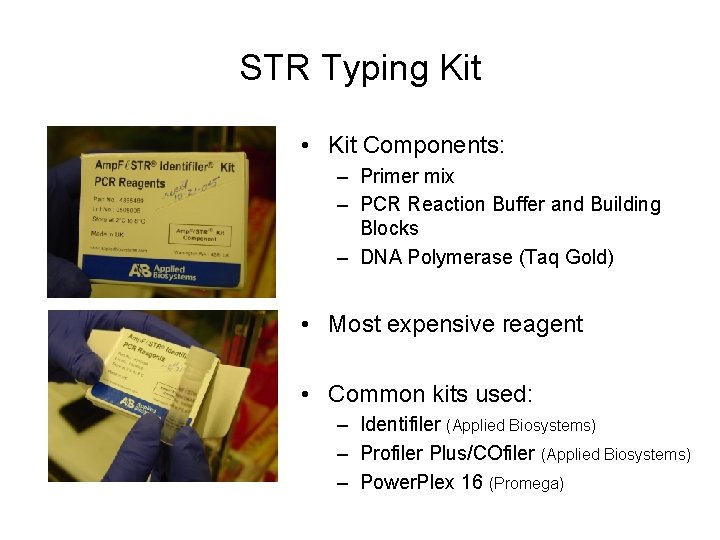 STR Typing Kit • Kit Components: – Primer mix – PCR Reaction Buffer and