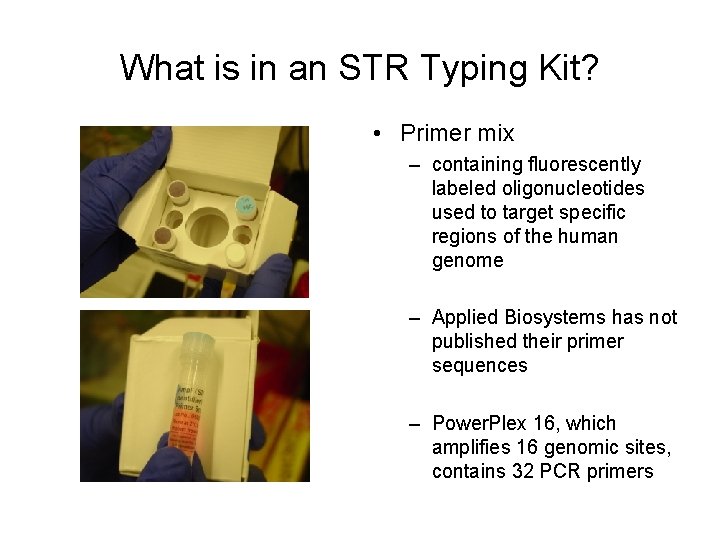 What is in an STR Typing Kit? • Primer mix – containing fluorescently labeled