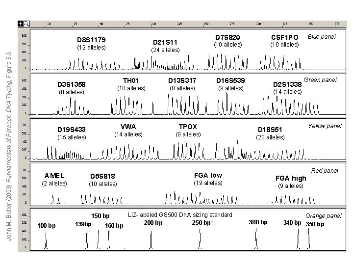 D 8 S 1179 D 21 S 11 John M. Butler (2009) Fundamentals of