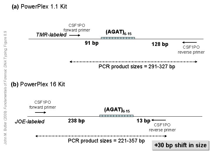 John M. Butler (2009) Fundamentals of Forensic DNA Typing, Figure 8. 9 (a) Power.