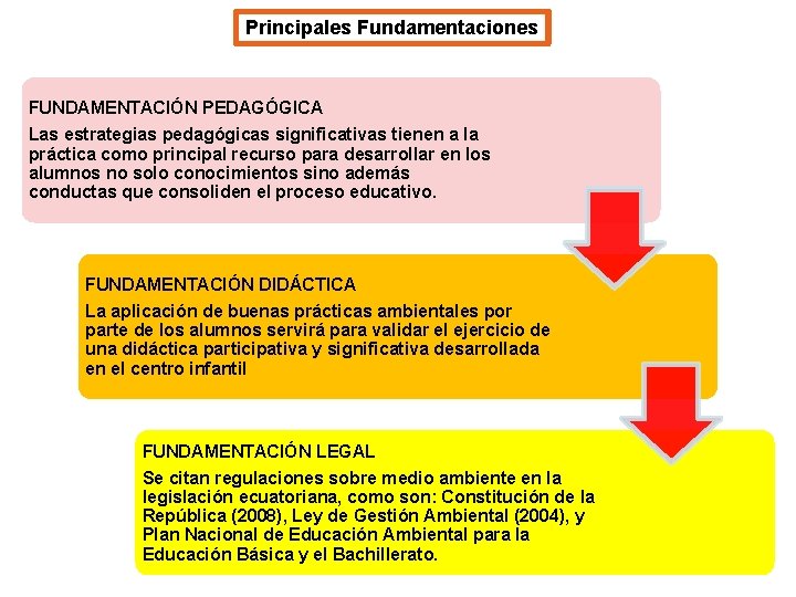 Principales Fundamentaciones FUNDAMENTACIÓN PEDAGÓGICA Las estrategias pedagógicas significativas tienen a la práctica como principal