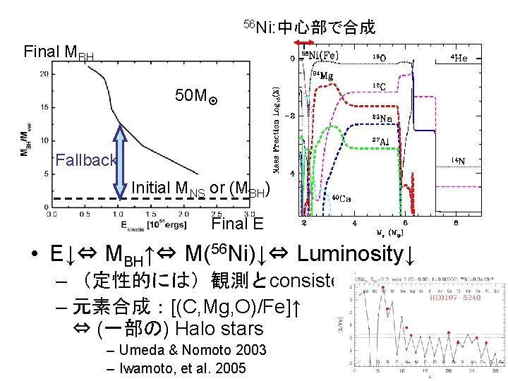 56 Ni: 中心部で合成 Final MBH 50 M Fallback Initial MNS or (MBH) Final E