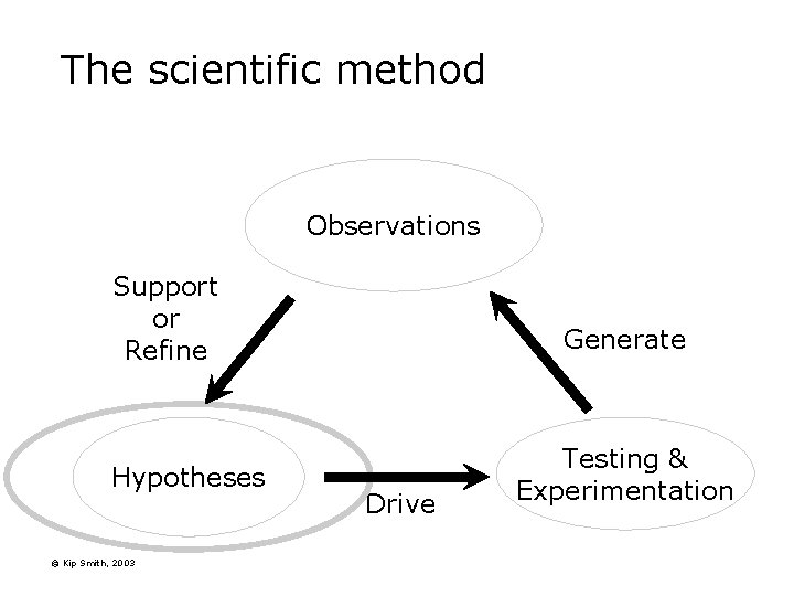 The scientific method Observations Support or Refine Hypotheses © Kip Smith, 2003 Generate Drive