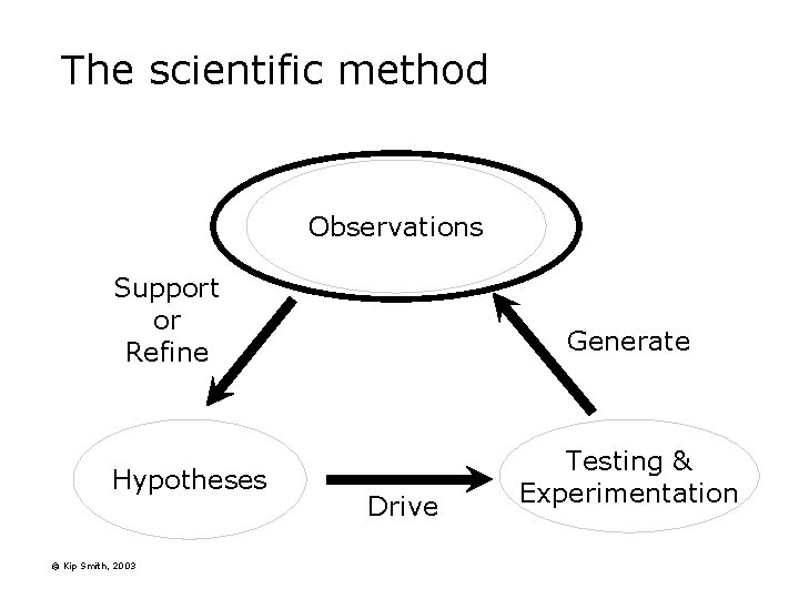 The scientific method Observations Support or Refine Hypotheses © Kip Smith, 2003 Generate Drive