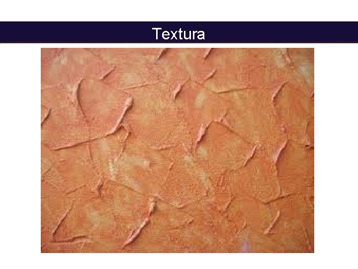 Textura 