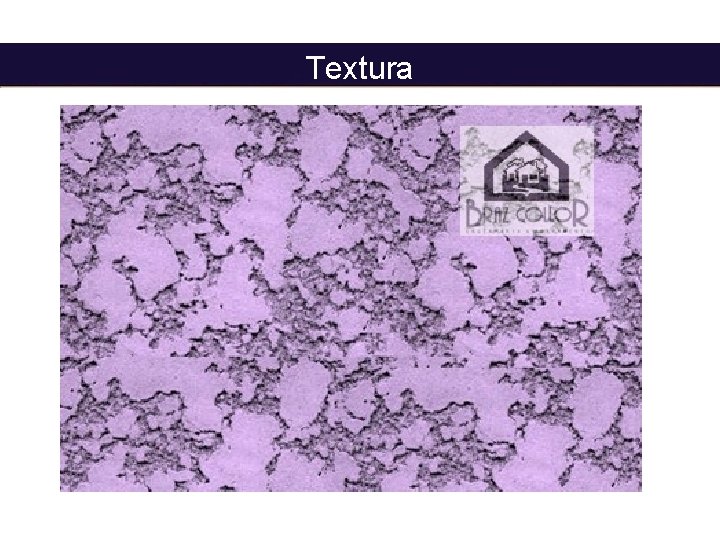 Textura 