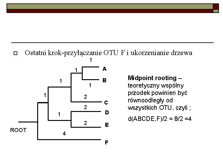 o Ostatni krok-przyłączanie OTU F i ukorzenianie drzewa 1 A 1 1 2 2