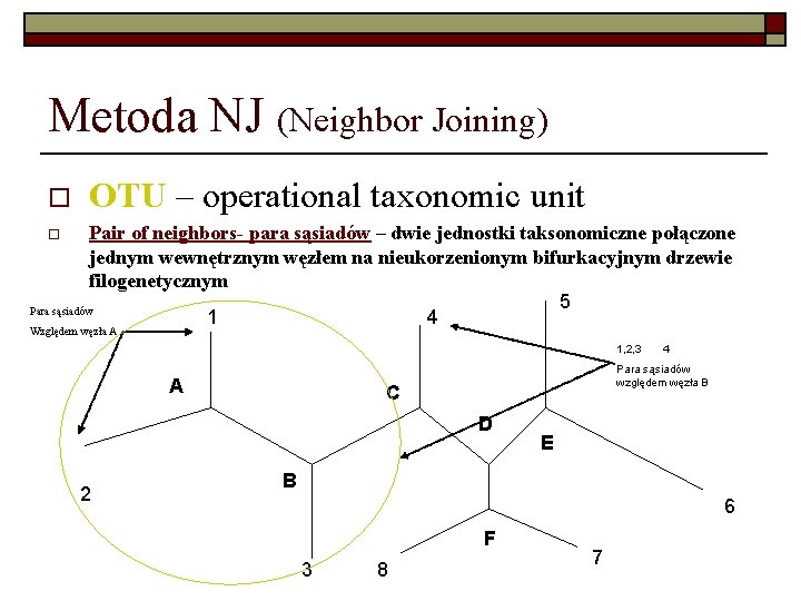 Metoda NJ (Neighbor Joining) o OTU – operational taxonomic unit Pair of neighbors- para