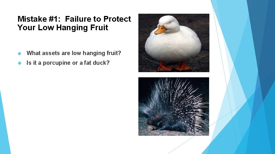 Mistake #1: Failure to Protect Your Low Hanging Fruit What assets are low hanging Mistake #1: Failure to Protect Your Low Hanging Fruit What assets are low hanging