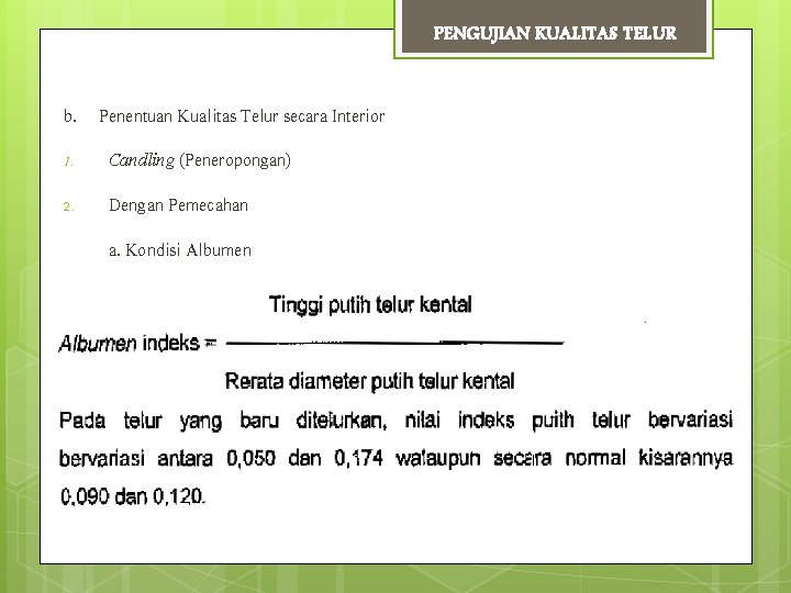 PENGUJIAN KUALITAS TELUR b. Penentuan Kualitas Telur secara Interior 1. Candling (Peneropongan) 2. Dengan