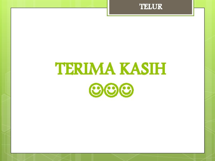 TELUR TERIMA KASIH 