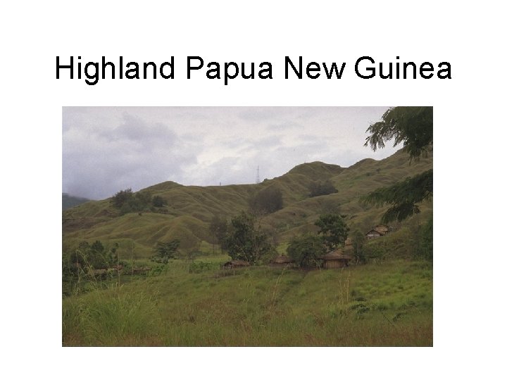 Highland Papua New Guinea 