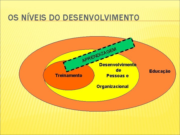 OS NÍVEIS DO DESENVOLVIMENTO EM G A IZ ND E R AP Desenvolvimento de OS NÍVEIS DO DESENVOLVIMENTO EM G A IZ ND E R AP Desenvolvimento de