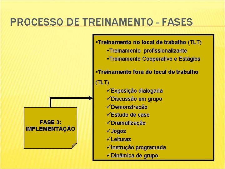 PROCESSO DE TREINAMENTO - FASES §Treinamento no local de trabalho (TLT) §Treinamento profissionalizante §Treinamento PROCESSO DE TREINAMENTO - FASES §Treinamento no local de trabalho (TLT) §Treinamento profissionalizante §Treinamento