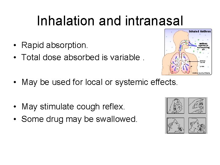 Inhalation and intranasal • Rapid absorption. • Total dose absorbed is variable. • May