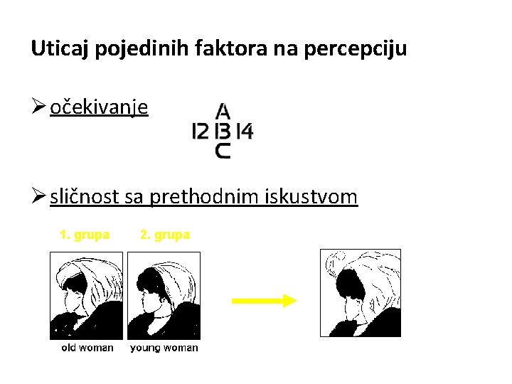 Uticaj pojedinih faktora na percepciju Ø očekivanje Ø sličnost sa prethodnim iskustvom 1. grupa