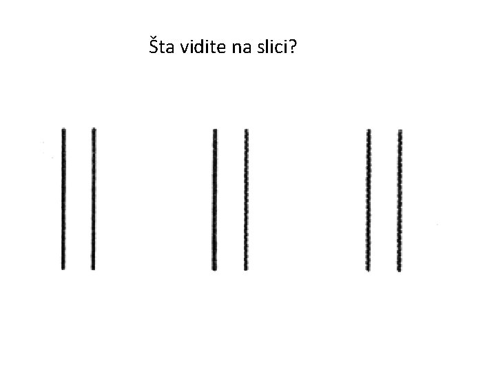 Šta vidite na slici? 