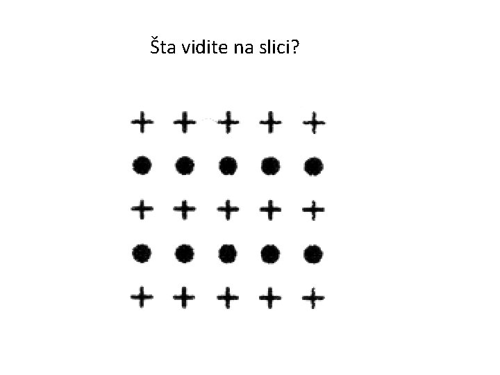 Šta vidite na slici? 