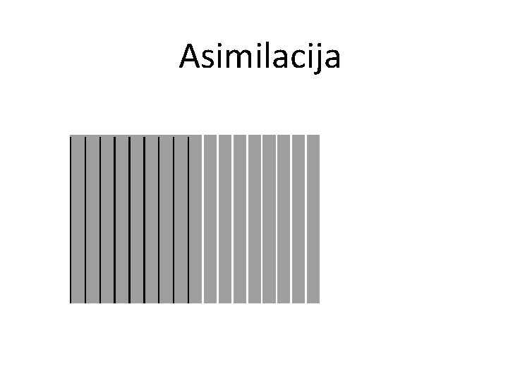 Asimilacija 