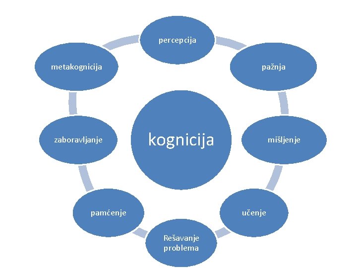 percepcija pažnja metakognicija zaboravljanje kognicija pamćenje mišljenje učenje Rešavanje problema 