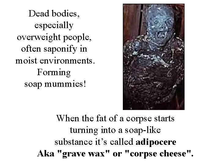 Dead bodies, especially overweight people, often saponify in moist environments. Forming soap mummies! When Dead bodies, especially overweight people, often saponify in moist environments. Forming soap mummies! When