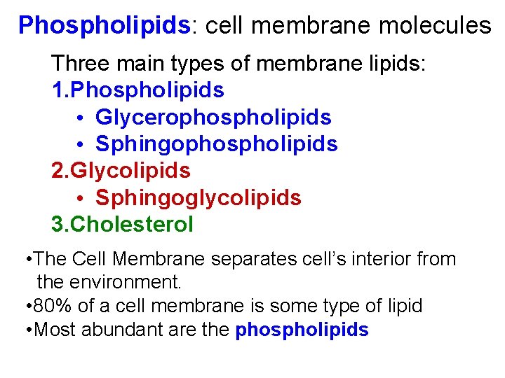 Phospholipids: cell membrane molecules Three main types of membrane lipids: 1. Phospholipids • Glycerophospholipids Phospholipids: cell membrane molecules Three main types of membrane lipids: 1. Phospholipids • Glycerophospholipids