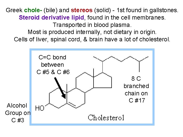 Greek chole- (bile) and stereos (solid) - 1 st found in gallstones. Steroid derivative Greek chole- (bile) and stereos (solid) - 1 st found in gallstones. Steroid derivative