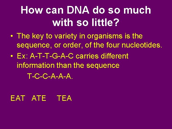 How can DNA do so much with so little? • The key to variety
