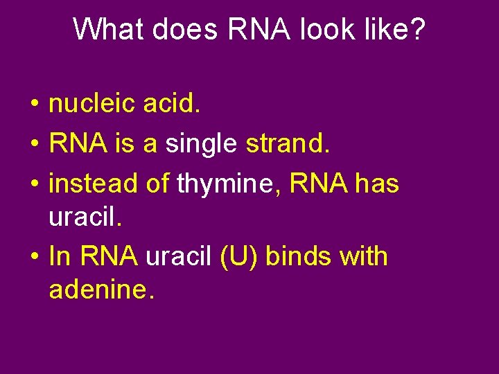 What does RNA look like? • nucleic acid. • RNA is a single strand.
