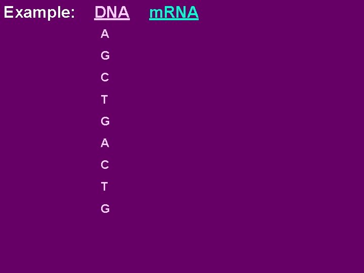 Example: DNA A G C T G A C T G m. RNA 