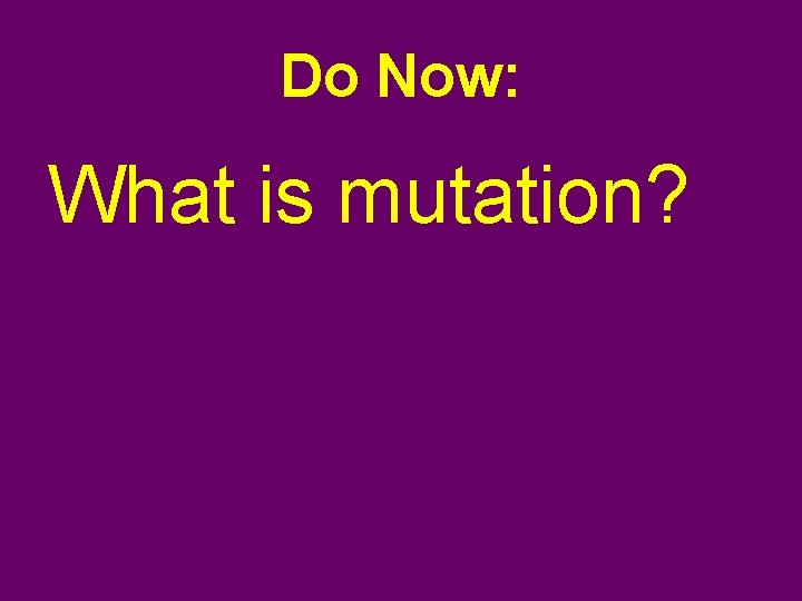 Do Now: What is mutation? 