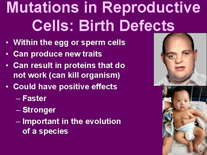 Mutations in Reproductive Cells: Birth Defects • Within the egg or sperm cells •