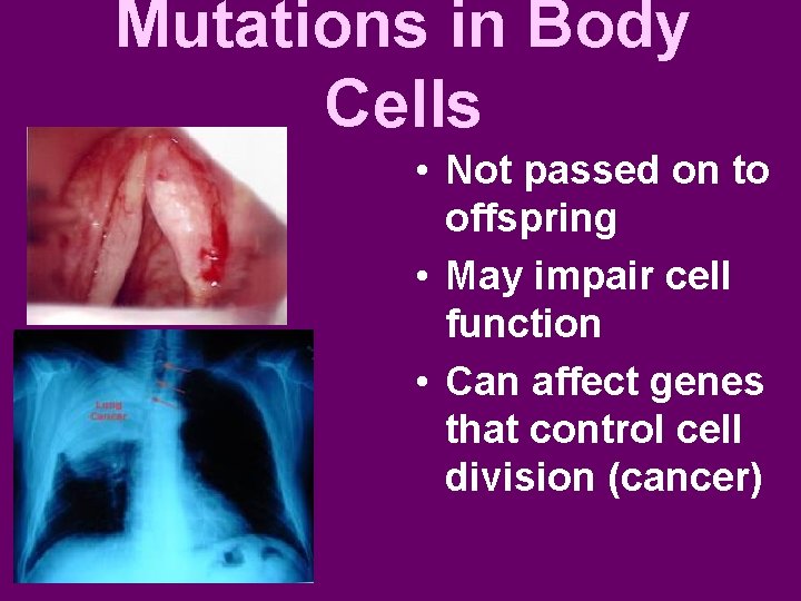Mutations in Body Cells • Not passed on to offspring • May impair cell