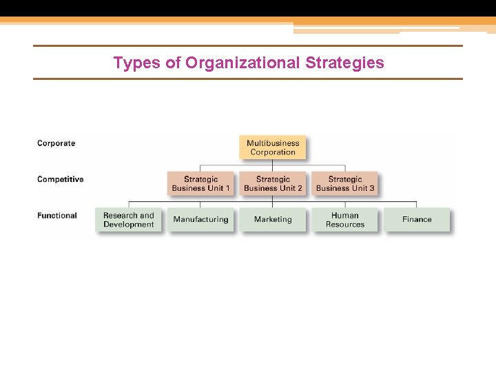 Types of Organizational Strategies 