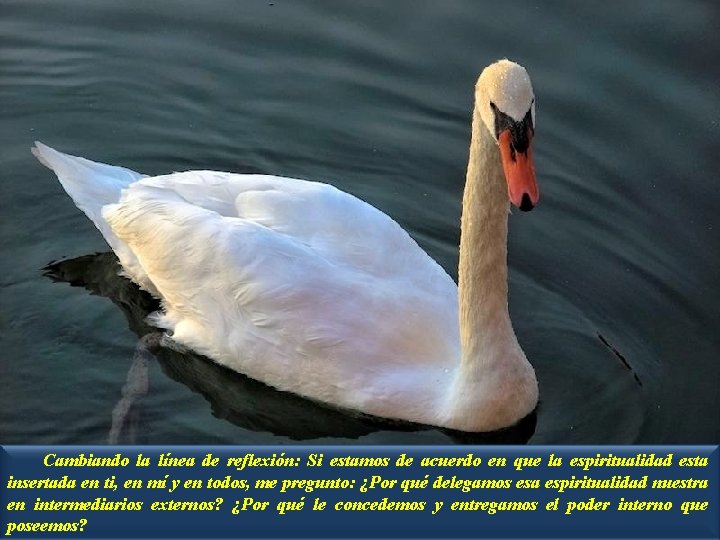 Cambiando la línea de reflexión: Si estamos de acuerdo en que la espiritualidad esta
