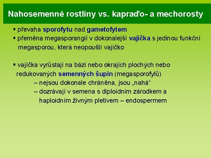 Nahosemenné rostliny vs. kapraďo- a mechorosty § převaha sporofytu nad gametofytem § přeměna megasporangií