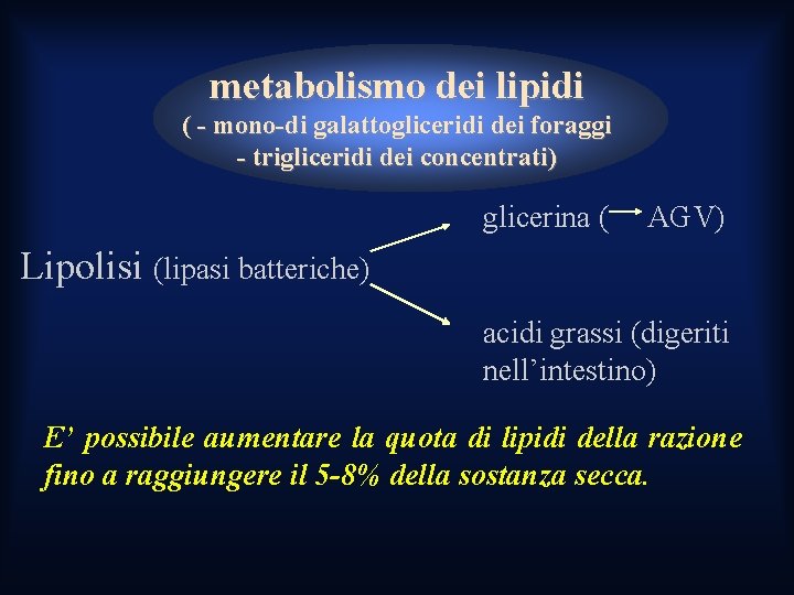 metabolismo dei lipidi ( - mono-di galattogliceridi dei foraggi - trigliceridi dei concentrati) glicerina metabolismo dei lipidi ( - mono-di galattogliceridi dei foraggi - trigliceridi dei concentrati) glicerina