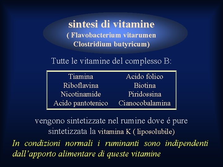 sintesi di vitamine ( Flavobacterium vitarumen Clostridium butyricum) Tutte le vitamine del complesso B: sintesi di vitamine ( Flavobacterium vitarumen Clostridium butyricum) Tutte le vitamine del complesso B: