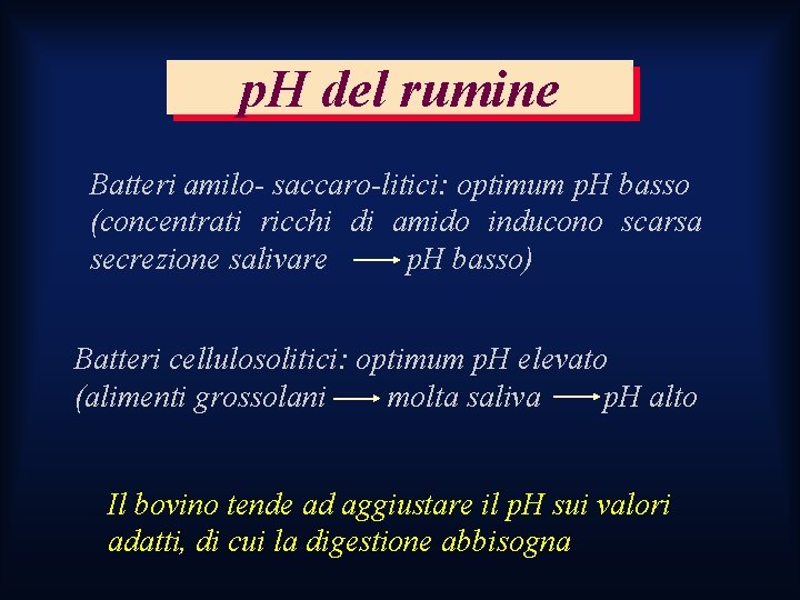 p. H del rumine Batteri amilo- saccaro-litici: optimum p. H basso (concentrati ricchi di p. H del rumine Batteri amilo- saccaro-litici: optimum p. H basso (concentrati ricchi di